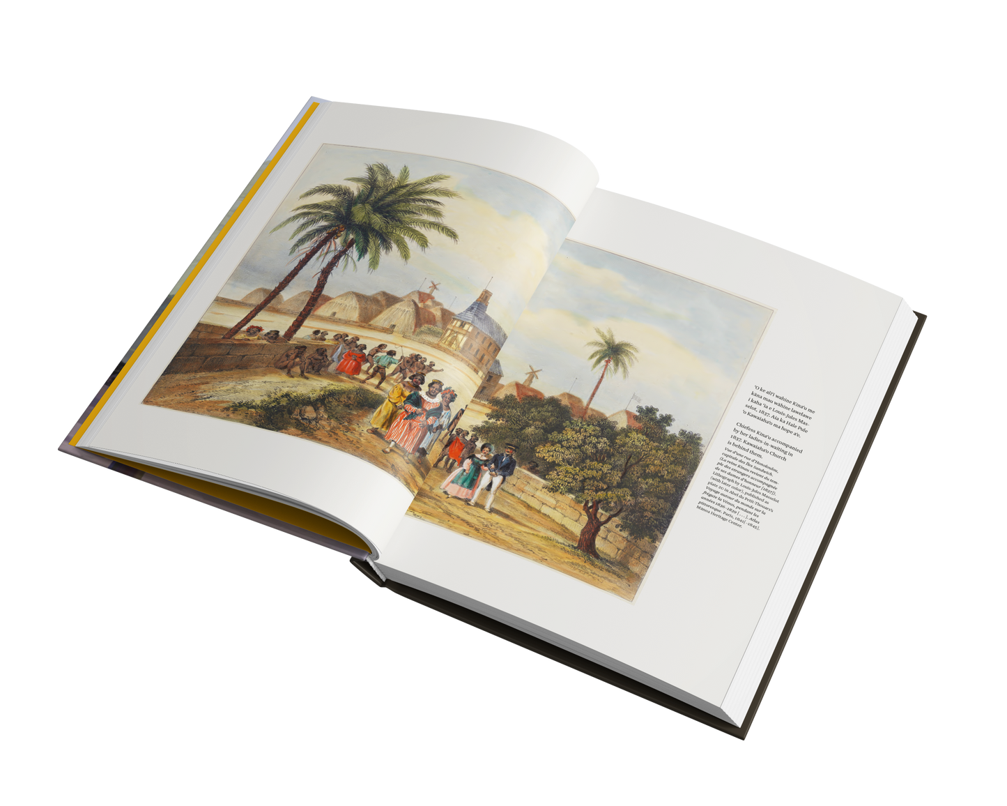 Nā Hunahuna ʻIke Hawai'i (Bilingual)